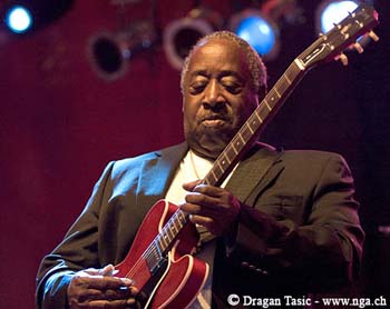Albert White 3