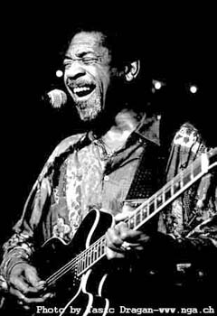 Luther Allison 3