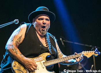 Popa Chubby 7