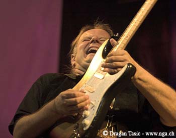 Walter Trout 2