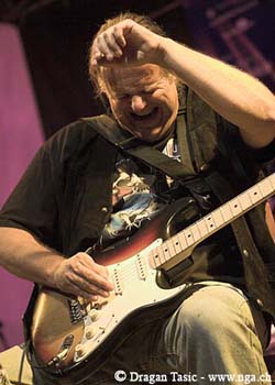 Walter Trout 5