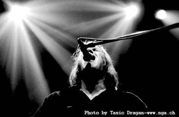Jeff Healey 2