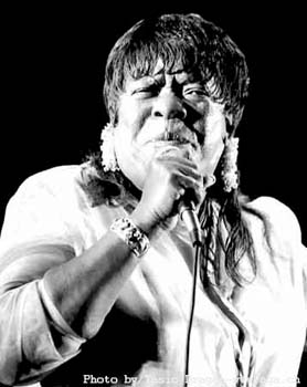 Koko Taylor 2