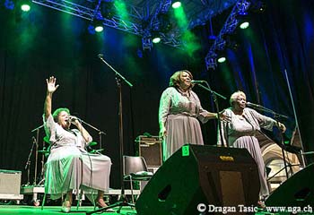 The Glorifying Vines Sisters 1