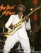 Nile Rodgers 2